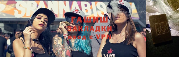 индика Вязники