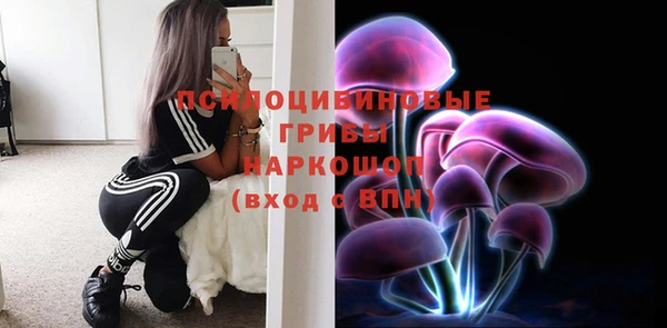 гидропоника Вязьма