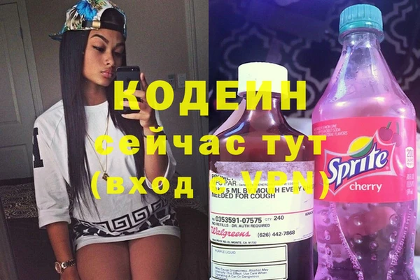 индика Вязники