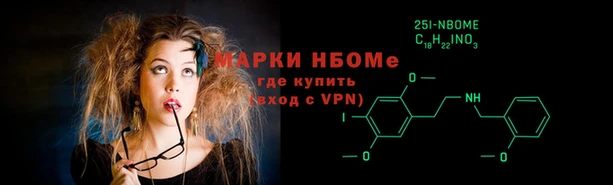 индика Вязники