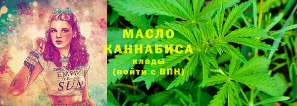 индика Вязники