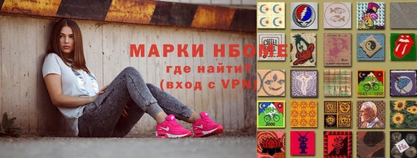 индика Вязники