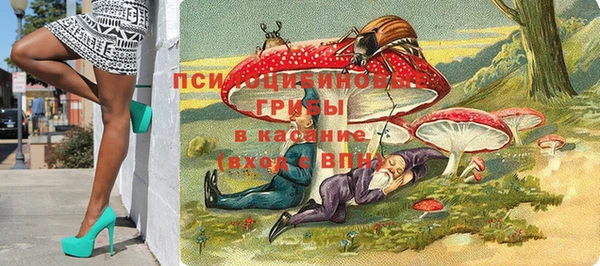 гидропоника Вязьма