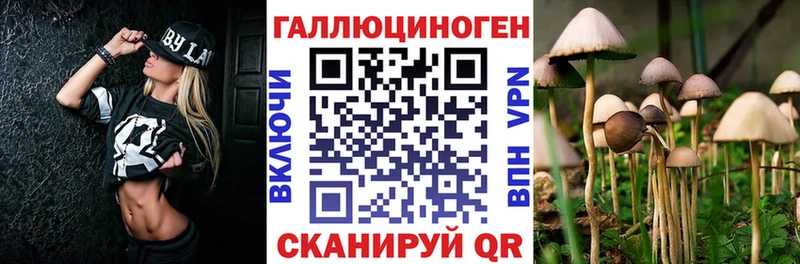 Галлюциногенные грибы Cubensis  Купить  Славск 